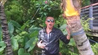 Mengenang Dikau Kembali Cover By Rosnata Ismail
