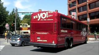 Yo Bus Greyhoundpeter Pan 1998-2002 Mci 102-Dl3