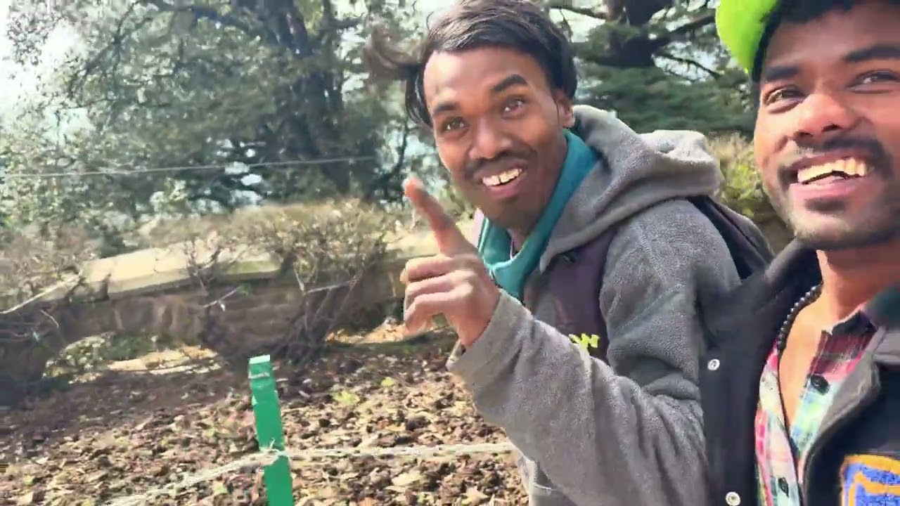 Shimla series🙏🙏🙏✌️✌️✌️