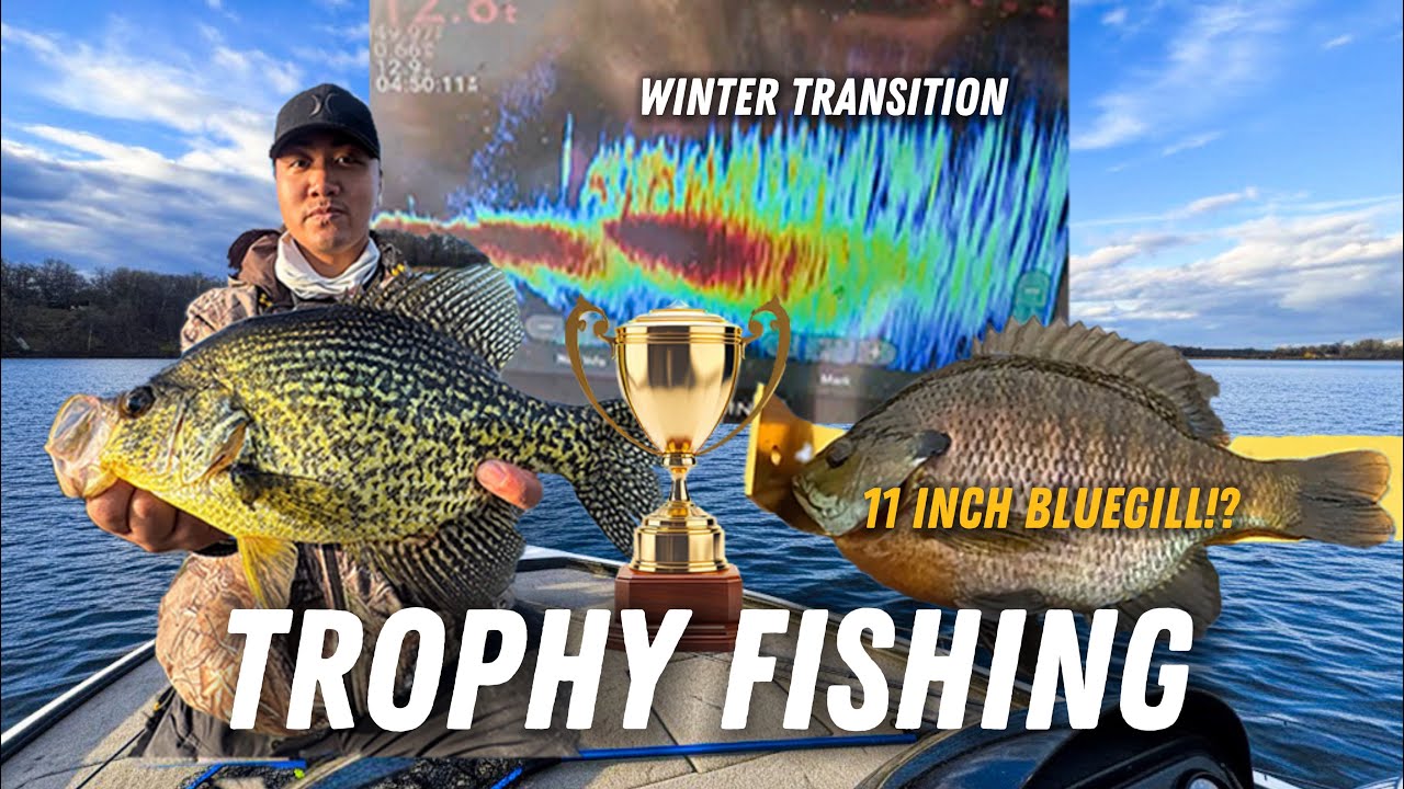 Ловля трофейных голубожаберников и крупных краппи в северной Миннесоте! (Несколько особей по 10+ ...
