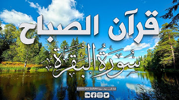 قرآن الصباح | سورة البقرة لحفظ وتحصين المنزل | تلاوة هادئة تريح القلب