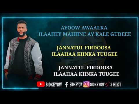 King Omarion -Aayow Qaali Iya Etee