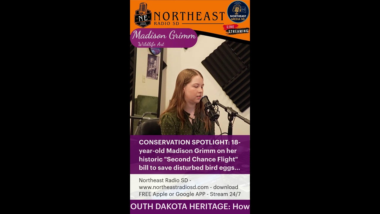 LIVE - Madison Grimm 