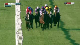 Vidéo de la course PMU QIPCO CHAMPION STAKES