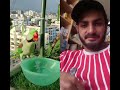 viral trending shorts