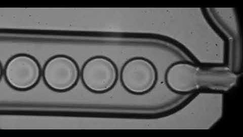 Microfluidics 10,000fps