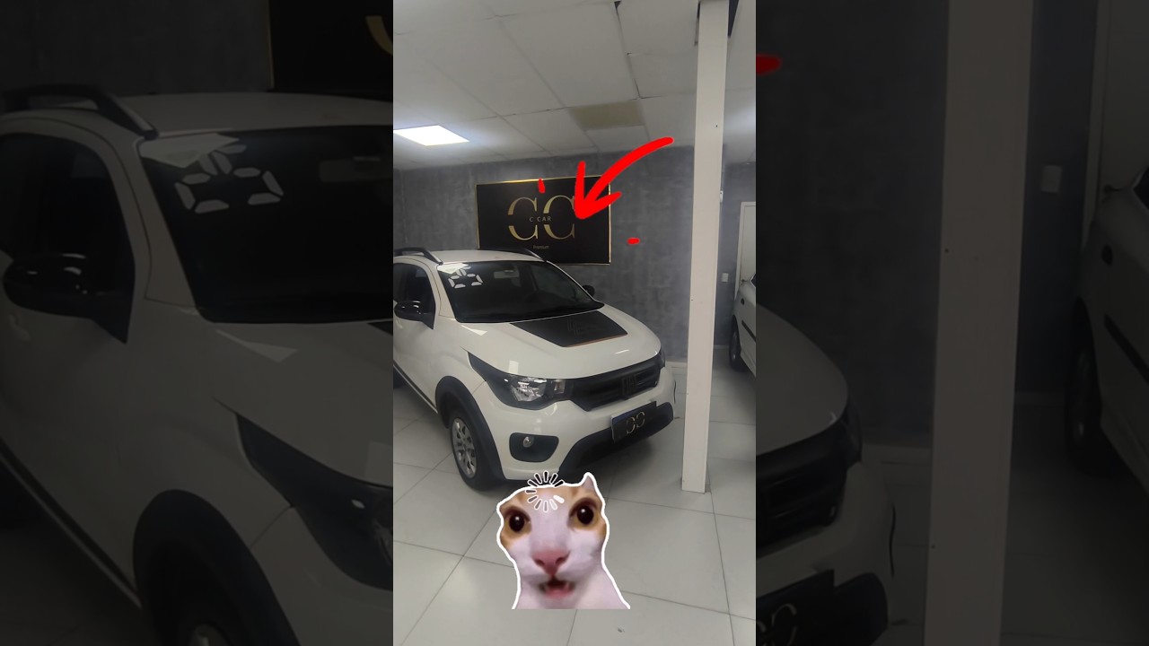Virei vendedor de carro