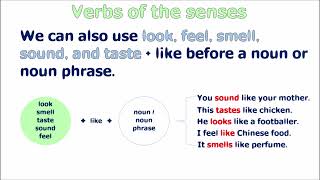 Verbs of the senses | @mrlazyworld_kh