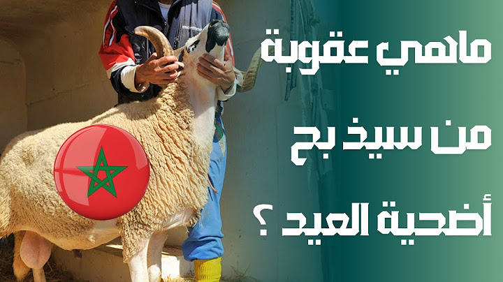 ماهي عقوبة من سيذ بح أضحية العيد في المغرب !؟ 🐏