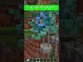 What Do We Think About Amethyst in Minecraft  #minecraft