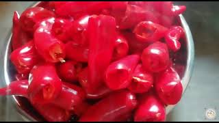 Lal Mirch ka Achaar | मोटी लाल मिर्च का भरवां अचार |  Red Chilli Pickle// BY SUSHMA KITCHEN'S