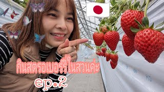กินสตรอเบอร์รี่ในสวนญี่ปุ่น|ถึงกับร้องอู้หู!!กันเลยค่ะ🍓🍓💕|ในเฮาส์มีเราอยู่คนเดียว🇯🇵