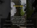 Бесстрашное действие #образование #исследования #технологии #обучение #философия #культура #общество