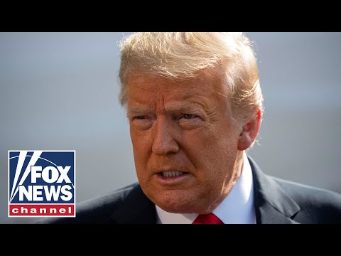 Here's how Trump wins reelection: Gingrich | FOX News Rundown