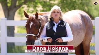 Virtual Horse Clinic | Showmanship - Part 3 | Promo