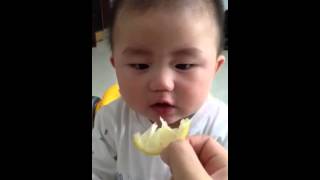 Bayi makan jeruk lemon