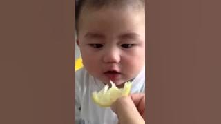 Bayi makan jeruk lemon