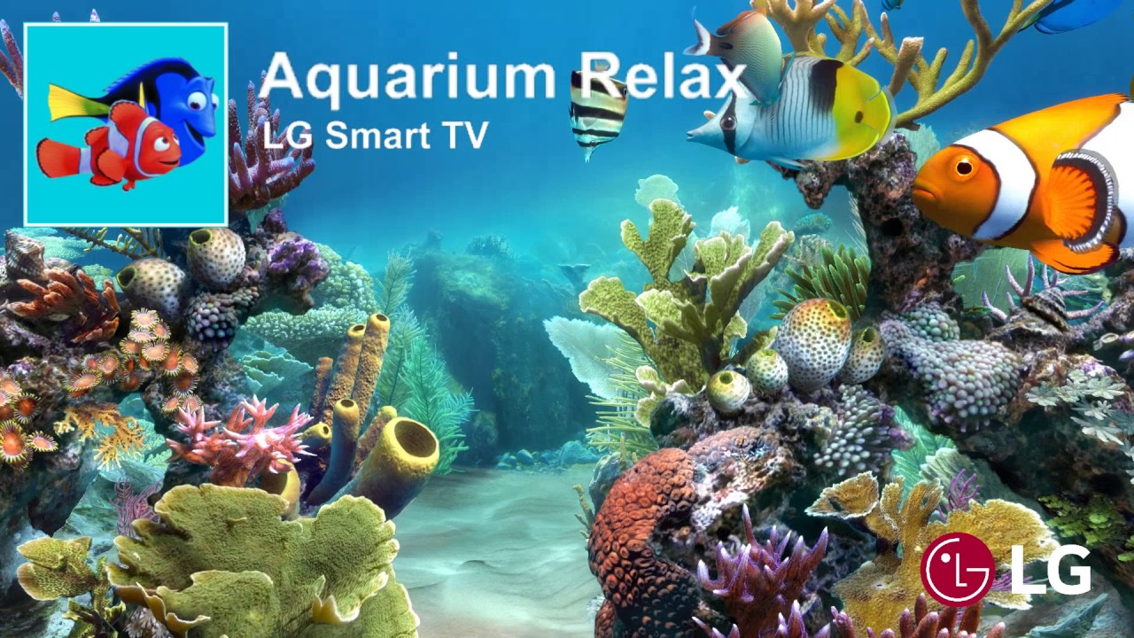 Aquarium Relax YouTube