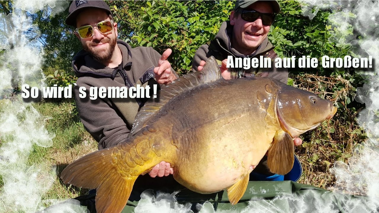 Wir wollen die 20KG MARKE | Angeln auf DICKE KARPFEN