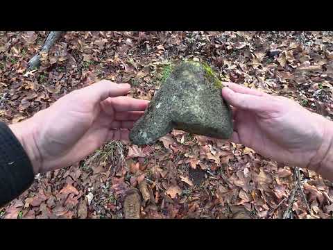 Scouting & Rear Facing Camera Test