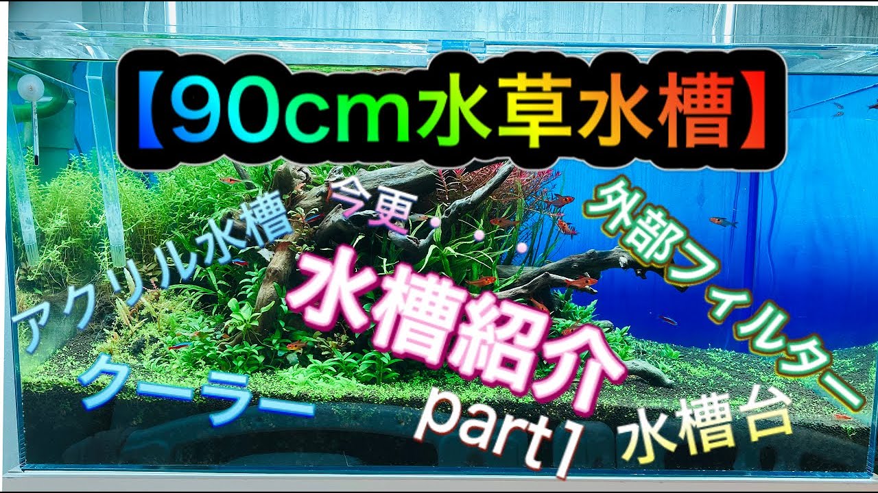 90cm水草水槽】水槽紹介 part1 ♯06 - YouTube