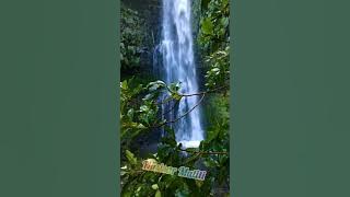 Nasisar Matiti ( Bahasa Daerah Bentuni Papua)