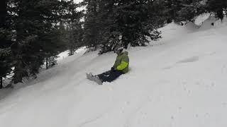 2019 Vail Trees with Curt