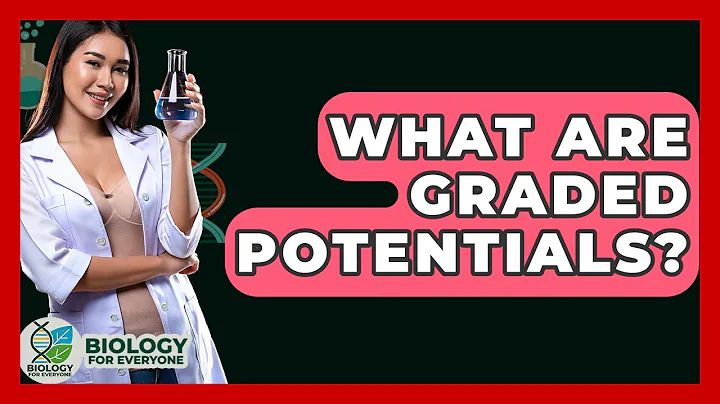 What Are Graded Potentials? - Biology For Everyone
