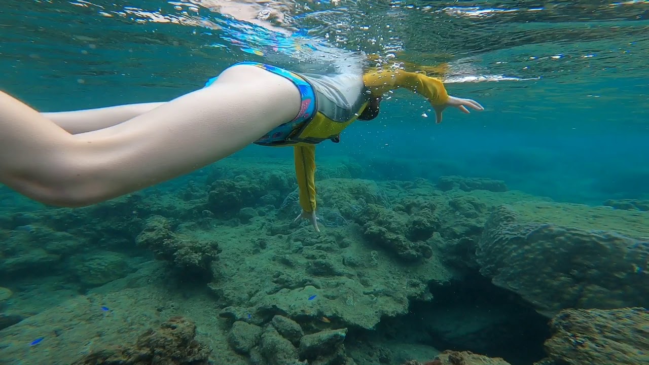 Snorkeling Okinawa YouTube