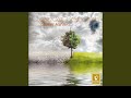 Miniature de la vidéo de la chanson Symphony No. 9 In E Minor, Op. 95 “From The New World”: Iii. Scherzo. Molto Vivace - Poco Sostenuto