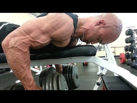 Seal Rows - My Favorite Things