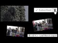 葉っぱマン【ドッキリ】 Leaf Man in Japan Pranks 15