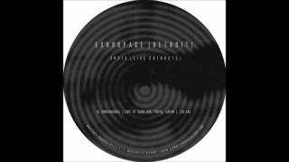 cv313 - Dimensional ( Live In Japan ) Wealth