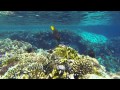 Sharm El Sheikh Snorkeling GoPro 3