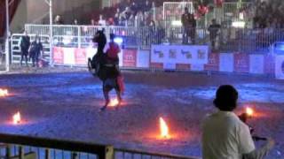 Aicasm Malpensa Cavalli 2010 - Carosello Minorchino