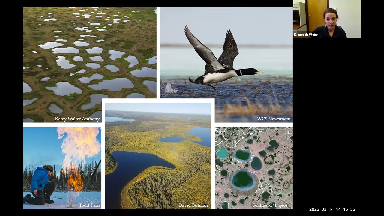 "Land- Climate Feedbacks in the Arctic-Boreal Zone"