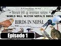 Birds in nepal  episode 1  acm nepal 