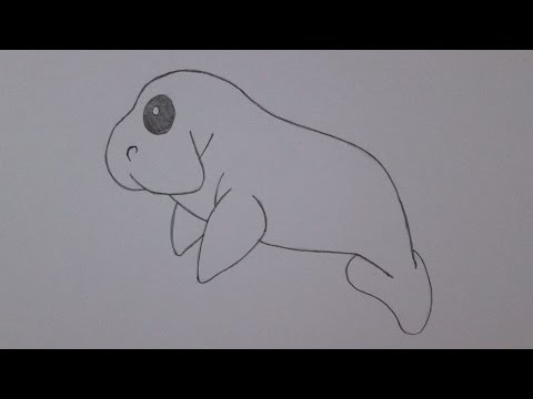 How to draw a manatee