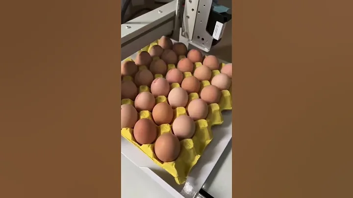 inkjet printer for eggs printing