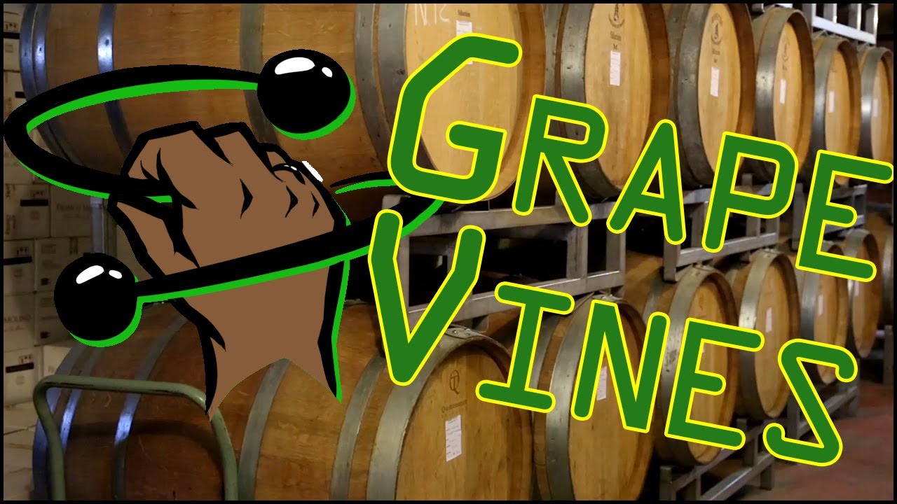 SynSlings: The Grapevine