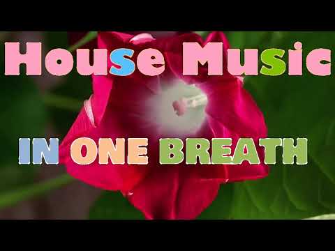 House Music In one breath DJ SET