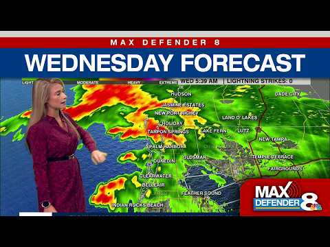 Wednesday Tampa Forecast | Max Defender 8