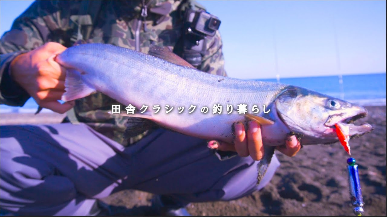 サケの投げ釣りなどにいかがでしょうか？ サケ（アキアジ）の投げ釣り】投げて待つだけ？ぶっこみ釣り完全ガイド