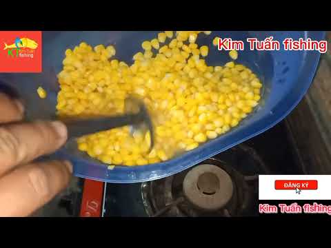 Video Cách ủ ngô câu cá chép, trắm, trôi, phi ...vv - youtube