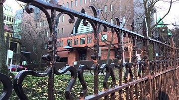 McGill University Architecture Walk