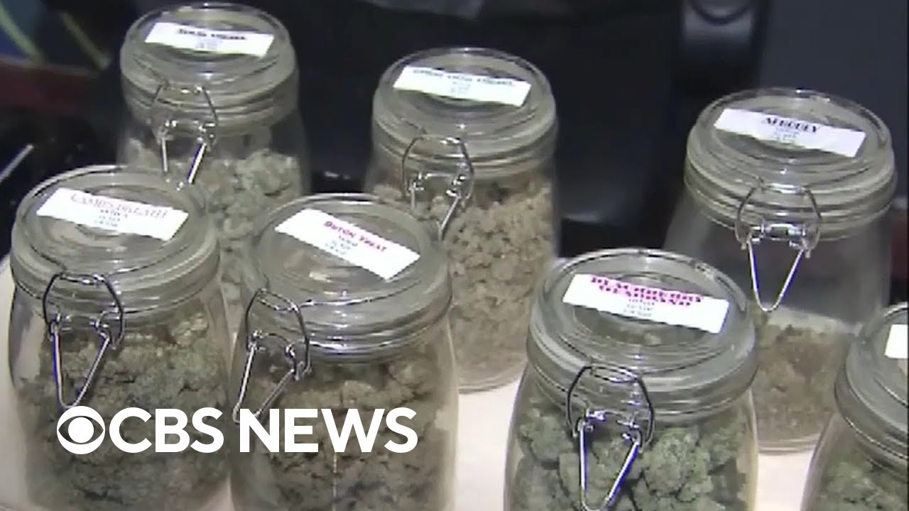 Black market weed tied to Chinese criminal networks seized in Maine