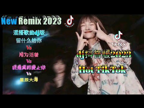 混搭歌曲dj版_留什么给你 Vs 用力活着 Vs 我是真的愛上你 Vs 星辰大海 #dj抖音版2023