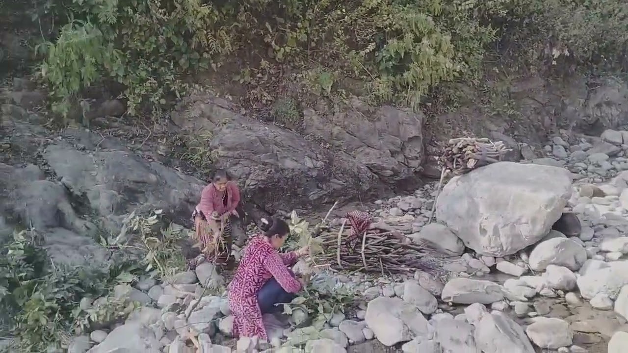 Jangl mai kya mile Aaj humhe 