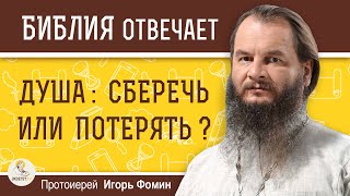 Кто хочет сберечь душу свою, тот потеряет ее. Протоиерей Игорь Фомин