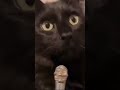 كل سنة وانت طيب يا زميلي